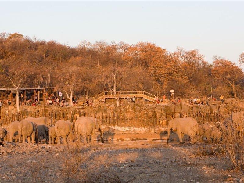 Halali Camp Hotel Etosha Exterior foto